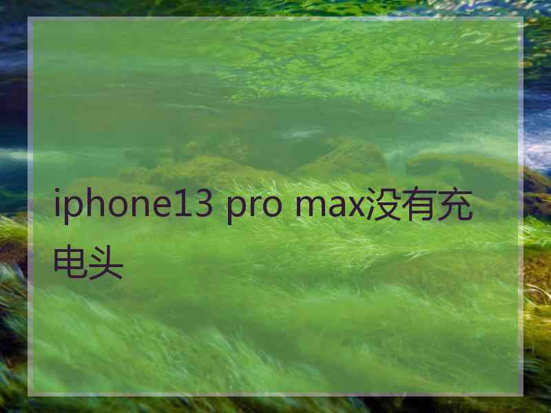 iphone13 pro max没有充电头