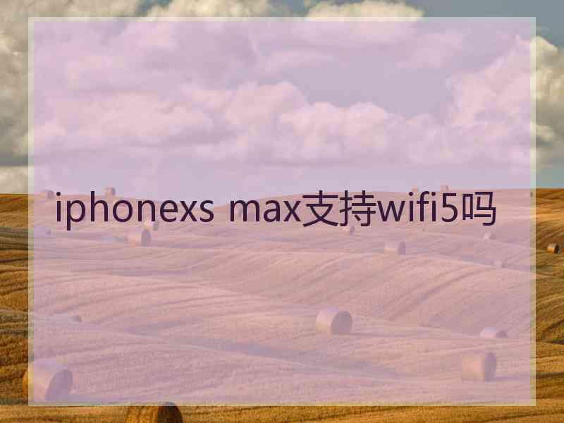 iphonexs max支持wifi5吗