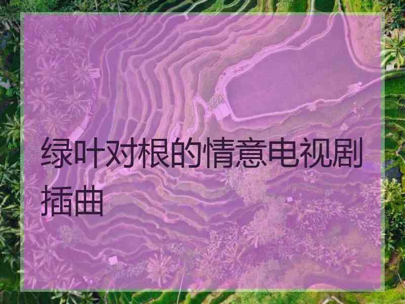 绿叶对根的情意电视剧插曲