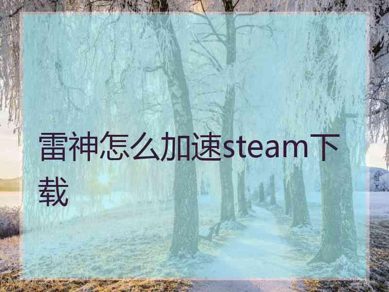 雷神怎么加速steam下载