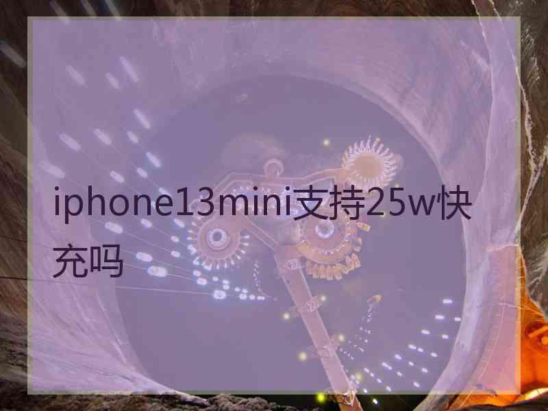 iphone13mini支持25w快充吗