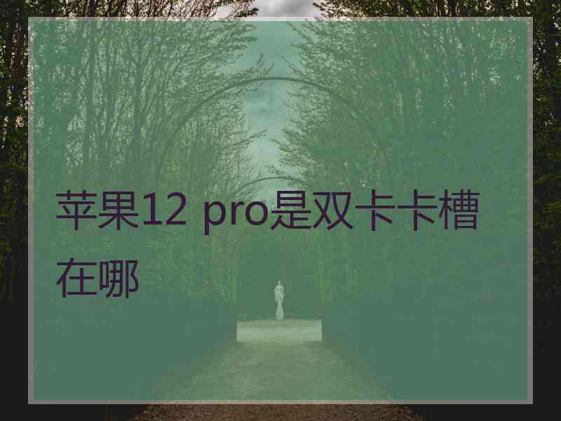 苹果12 pro是双卡卡槽在哪