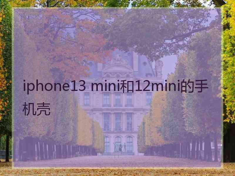 iphone13 mini和12mini的手机壳