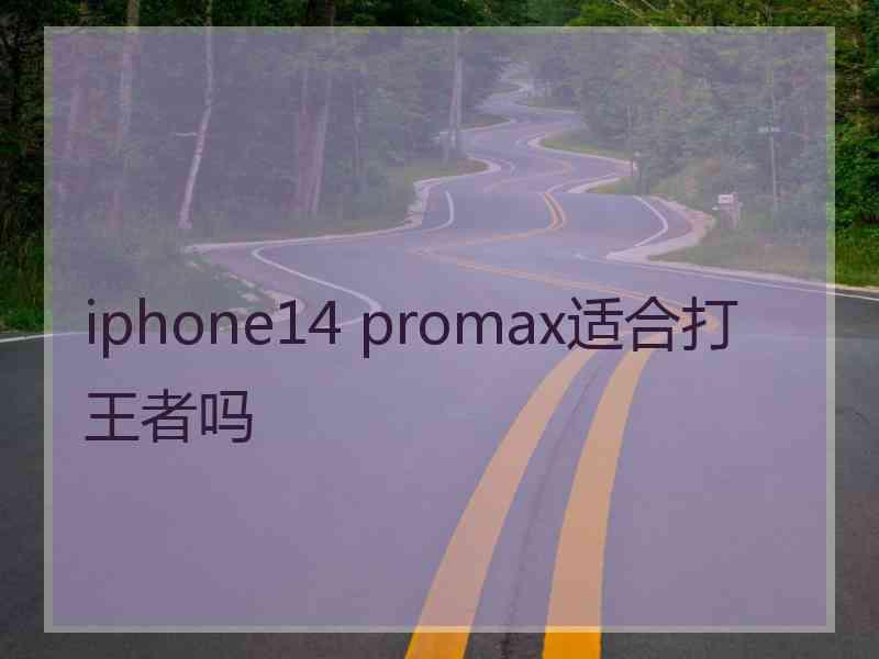 iphone14 promax适合打王者吗