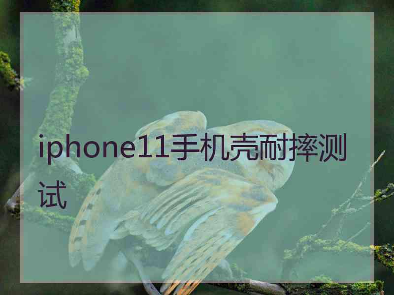 iphone11手机壳耐摔测试