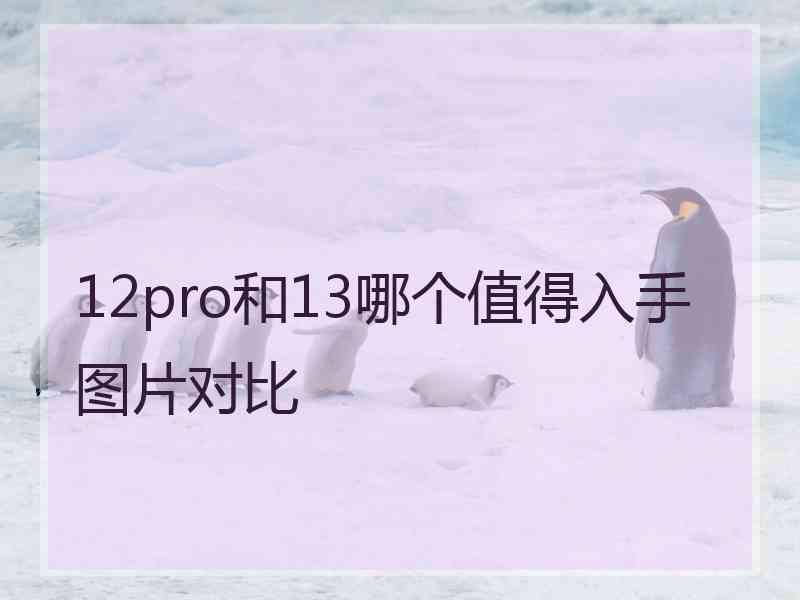 12pro和13哪个值得入手图片对比