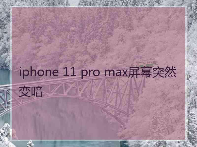 iphone 11 pro max屏幕突然变暗