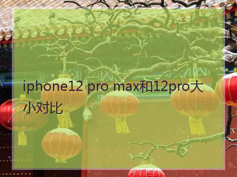 iphone12 pro max和12pro大小对比