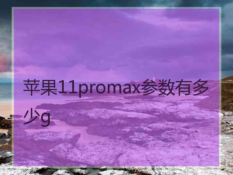 苹果11promax参数有多少g