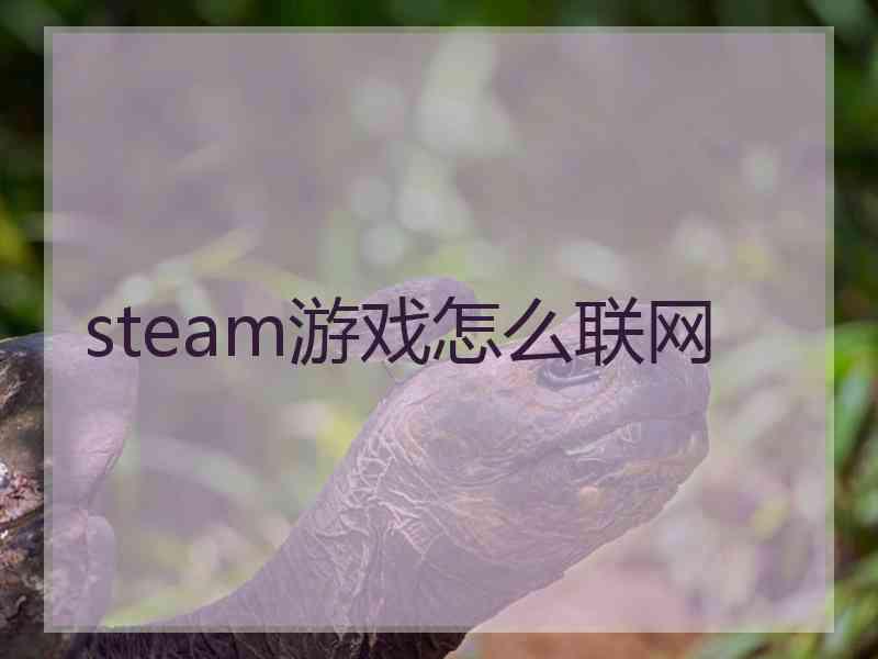 steam游戏怎么联网