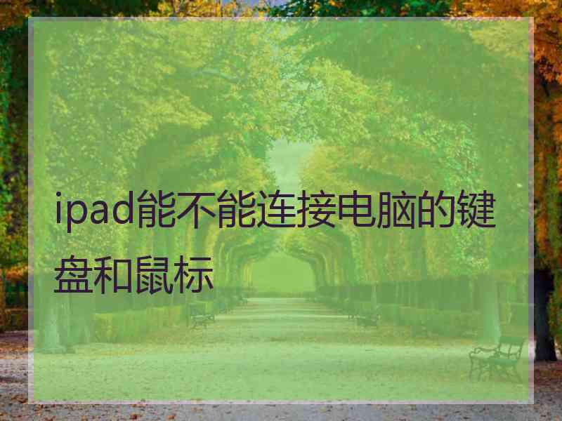 ipad能不能连接电脑的键盘和鼠标