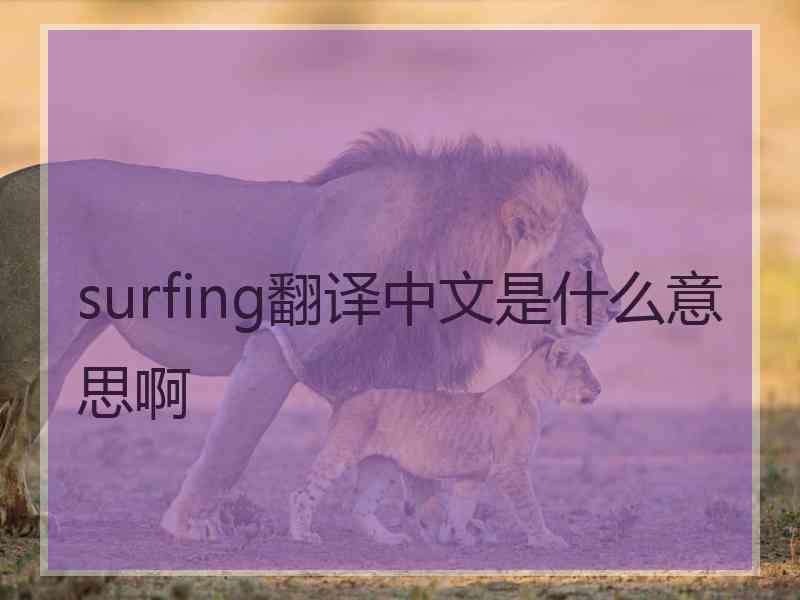 surfing翻译中文是什么意思啊