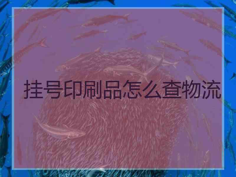 挂号印刷品怎么查物流