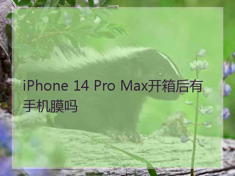 iPhone 14 Pro Max开箱后有手机膜吗