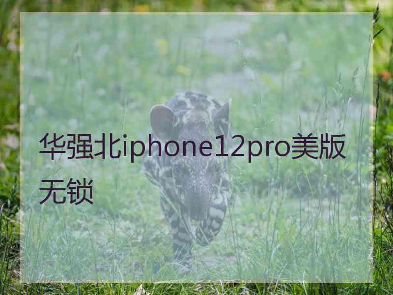 华强北iphone12pro美版无锁