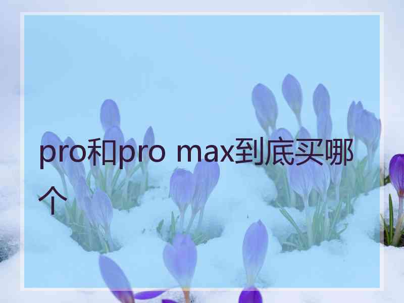 pro和pro max到底买哪个