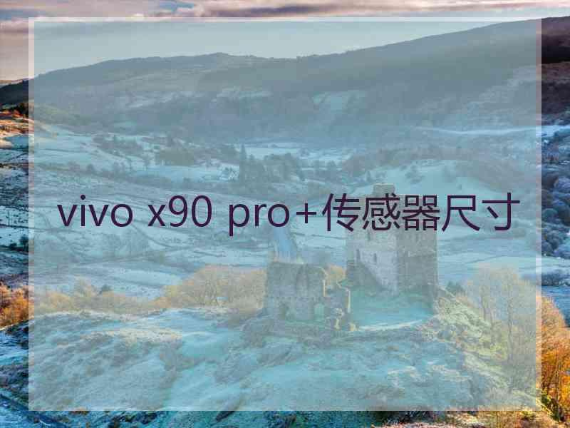 vivo x90 pro+传感器尺寸