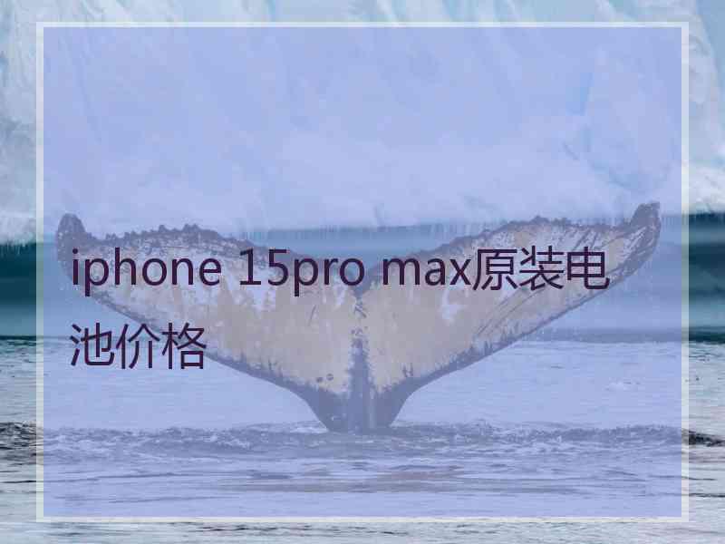 iphone 15pro max原装电池价格