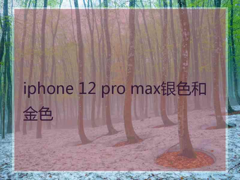 iphone 12 pro max银色和金色