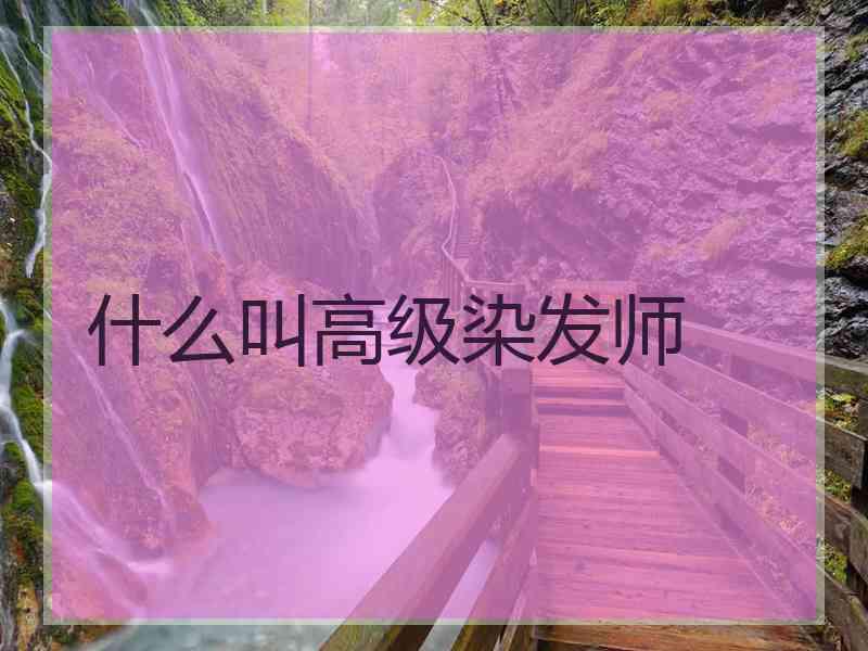 什么叫高级染发师