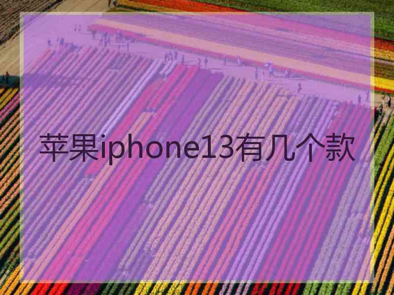 苹果iphone13有几个款