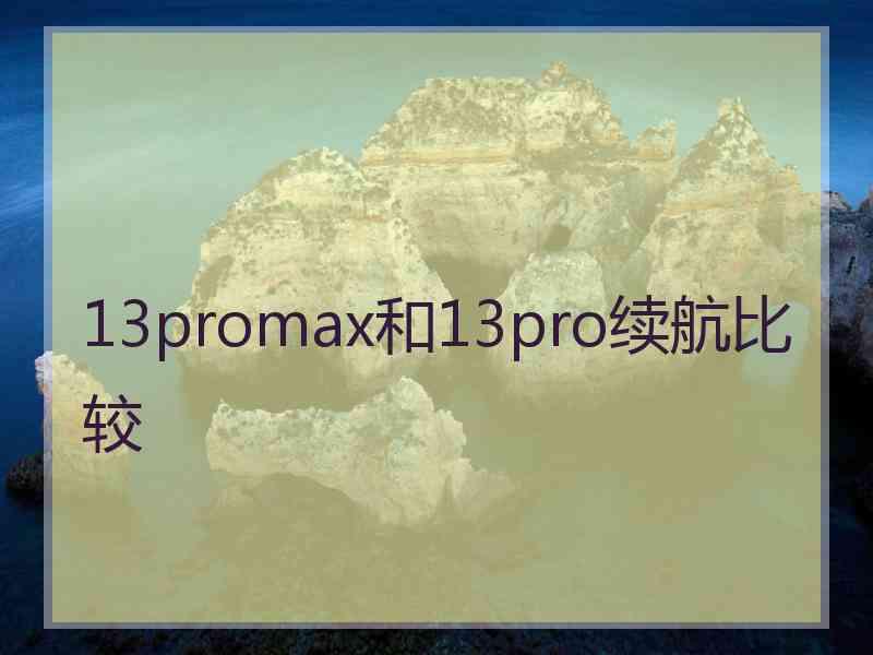 13promax和13pro续航比较