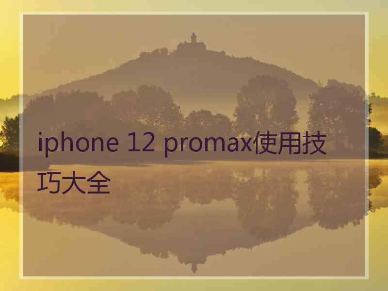 iphone 12 promax使用技巧大全