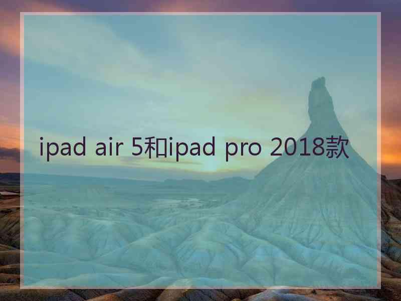 ipad air 5和ipad pro 2018款