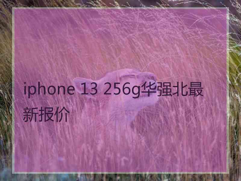 iphone 13 256g华强北最新报价