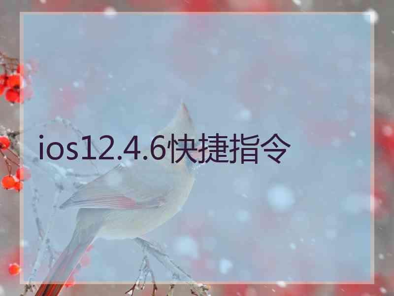 ios12.4.6快捷指令