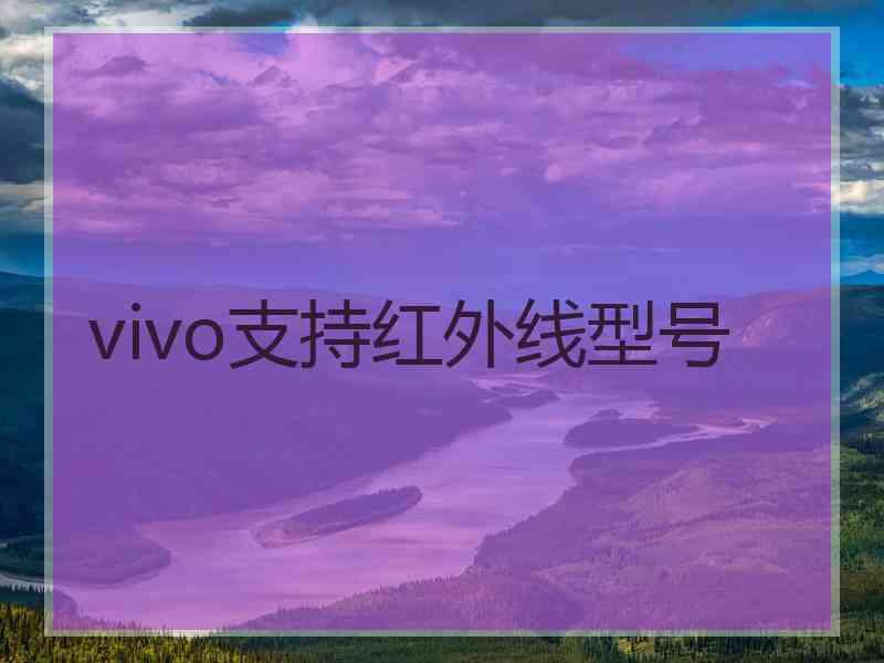 vivo支持红外线型号