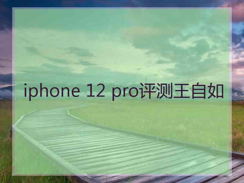 iphone 12 pro评测王自如