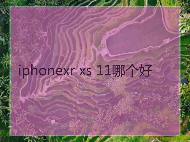 iphonexr xs 11哪个好