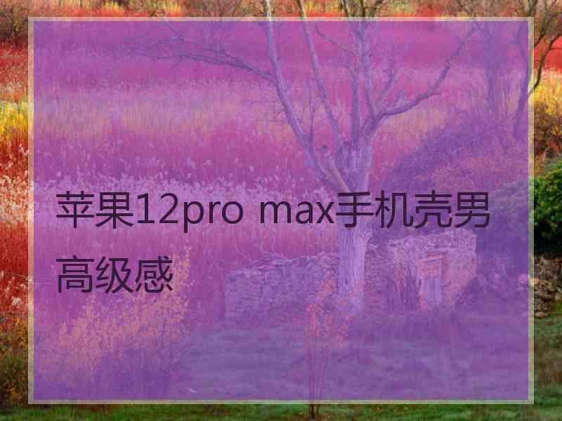 苹果12pro max手机壳男高级感