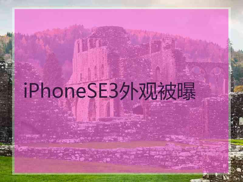 iPhoneSE3外观被曝