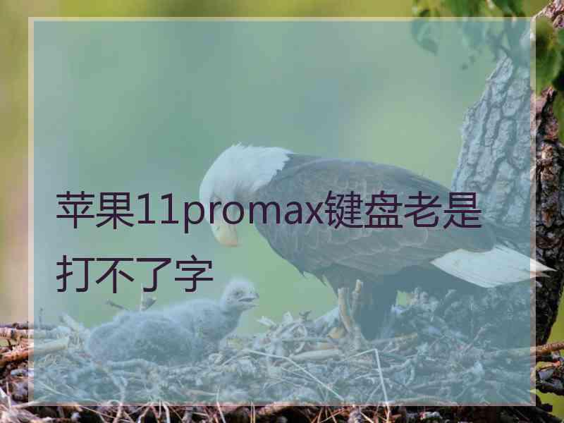 苹果11promax键盘老是打不了字