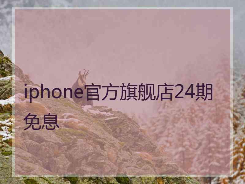 iphone官方旗舰店24期免息