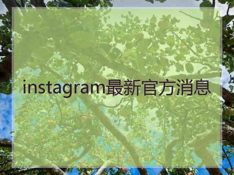 instagram最新官方消息