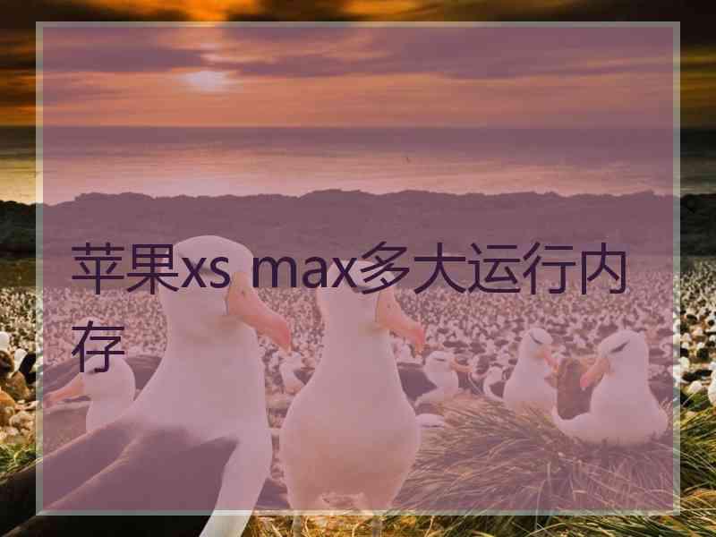 苹果xs max多大运行内存