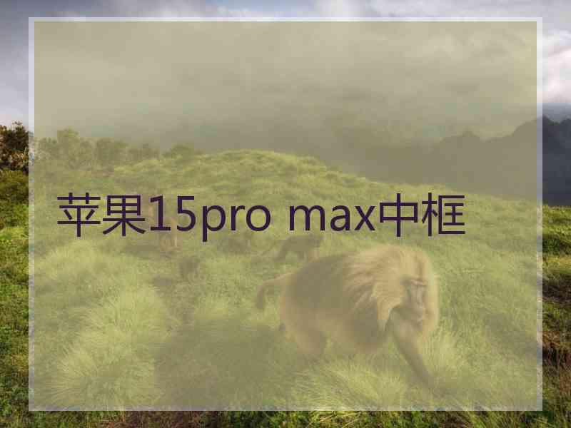 苹果15pro max中框