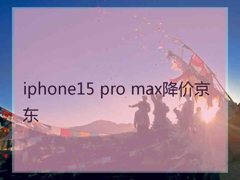 iphone15 pro max降价京东