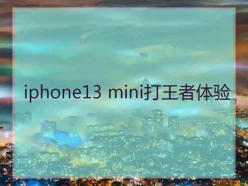 iphone13 mini打王者体验