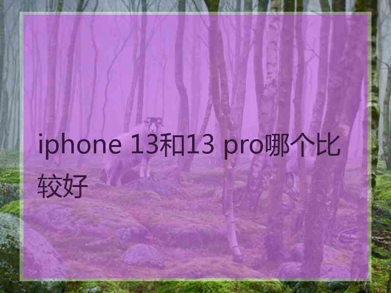 iphone 13和13 pro哪个比较好