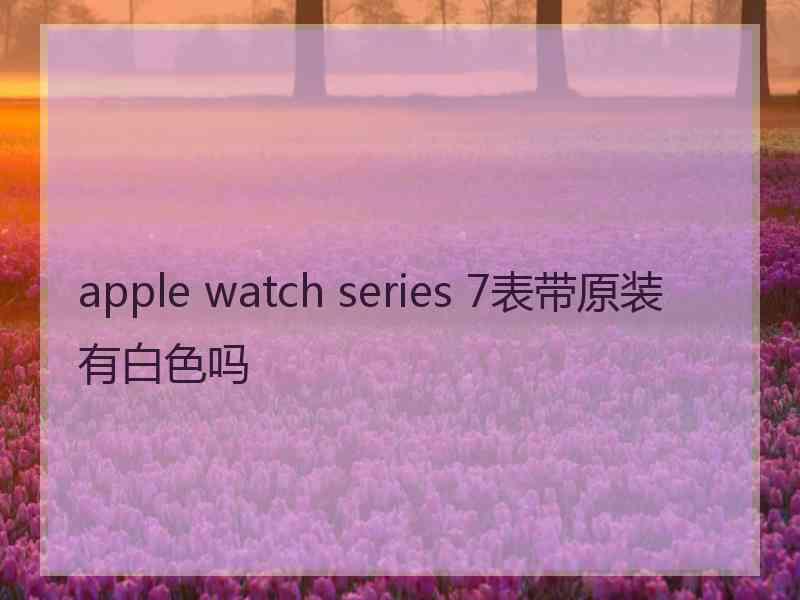 apple watch series 7表带原装有白色吗