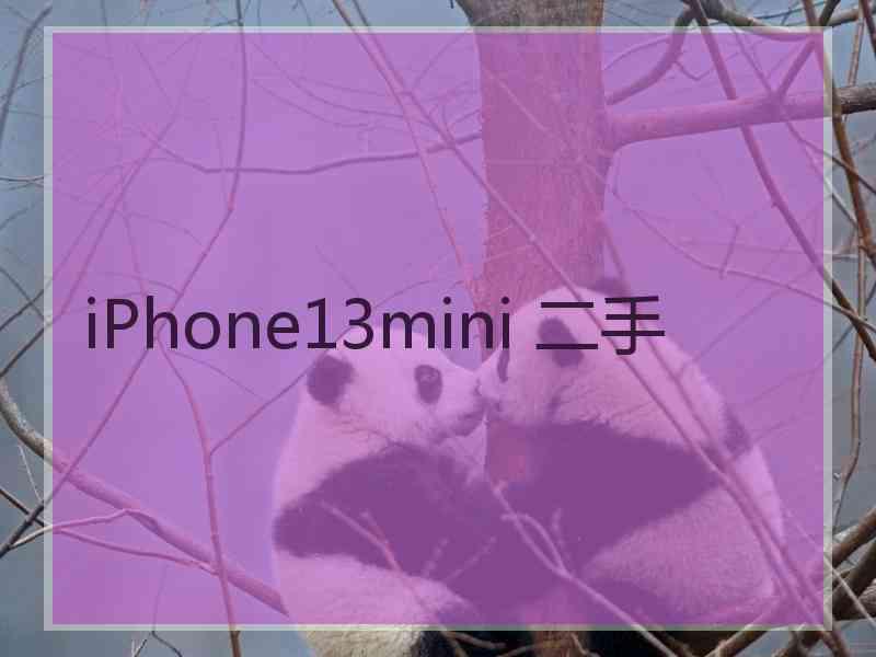 iPhone13mini 二手