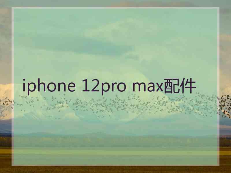 iphone 12pro max配件