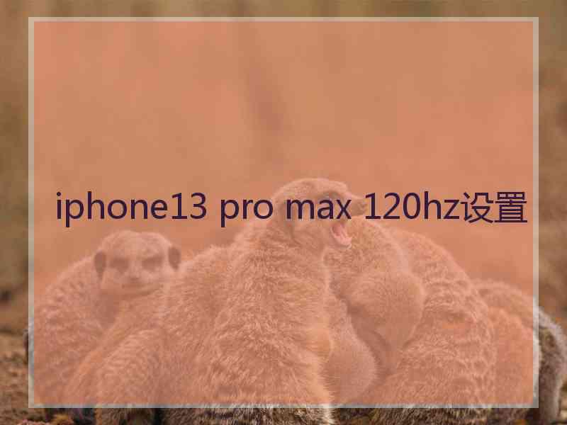 iphone13 pro max 120hz设置