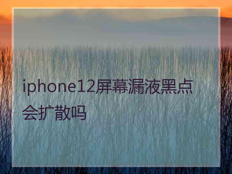 iphone12屏幕漏液黑点会扩散吗