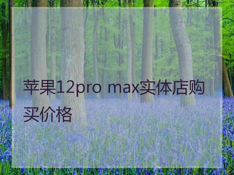 苹果12pro max实体店购买价格