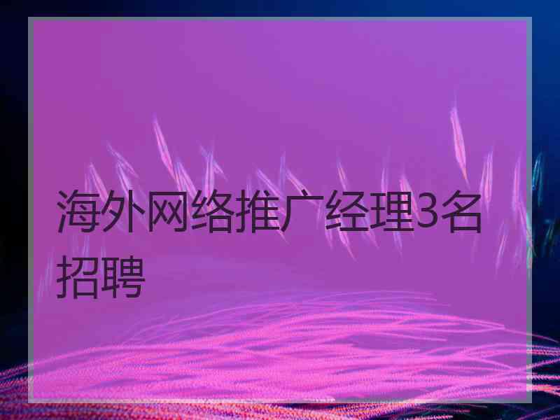 海外网络推广经理3名招聘